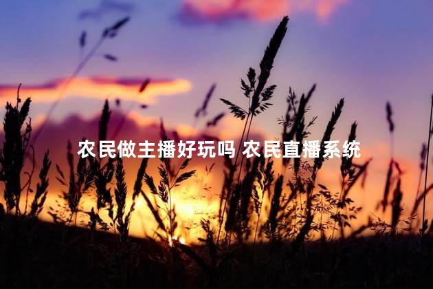 农民做主播好玩吗 农民直播系统